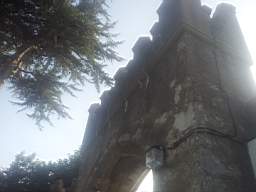 castlepark gate - 10385.jpg